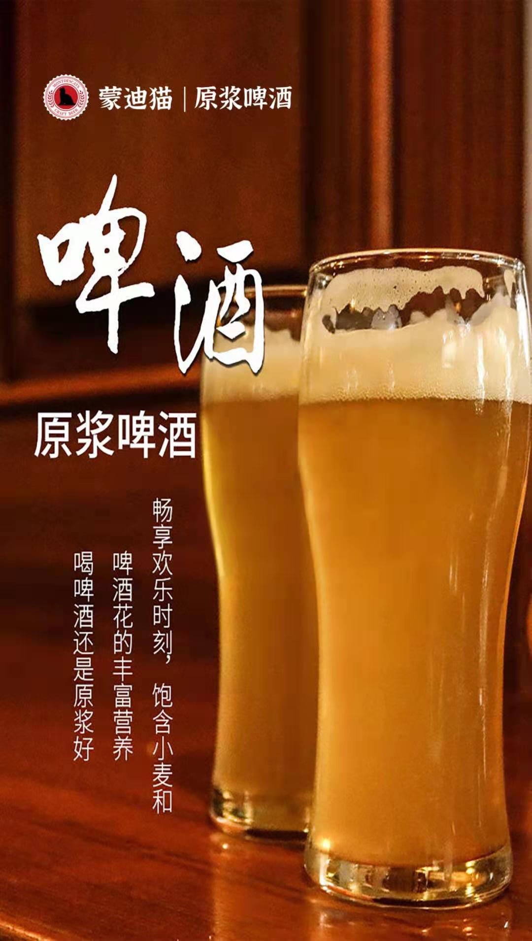 蒙迪猫啤酒代理